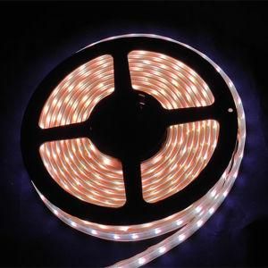 Underwater DMX Control Flexible LED Strip Rope Light