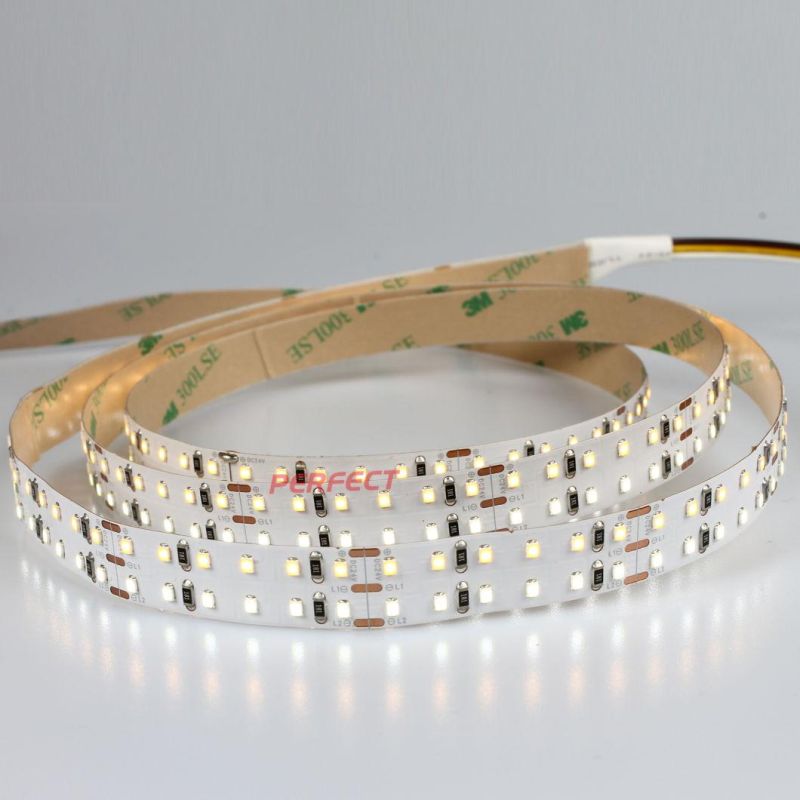 Double Row Warm White DC24V 312LED/M 12mm SMD2216 LED Strip