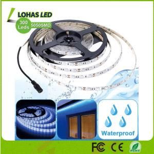 LED Rope Light DC12V 5m/Roll RGB LED Strip Light