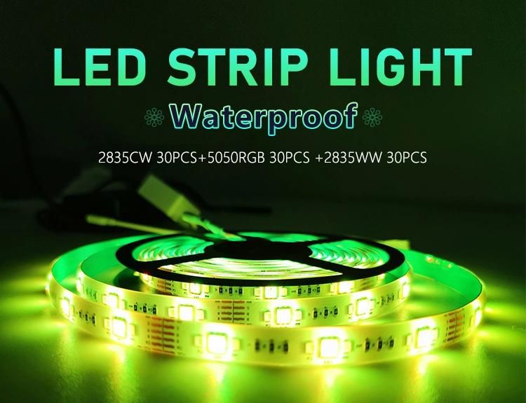 Nightclub Decoration Christmas RGB Color LED Strip APP Controlled IP65 Colorful RGB Strip Light