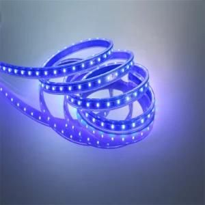 2835 Waterproof Flexible LED Tape Light LED Without Cupper Wire