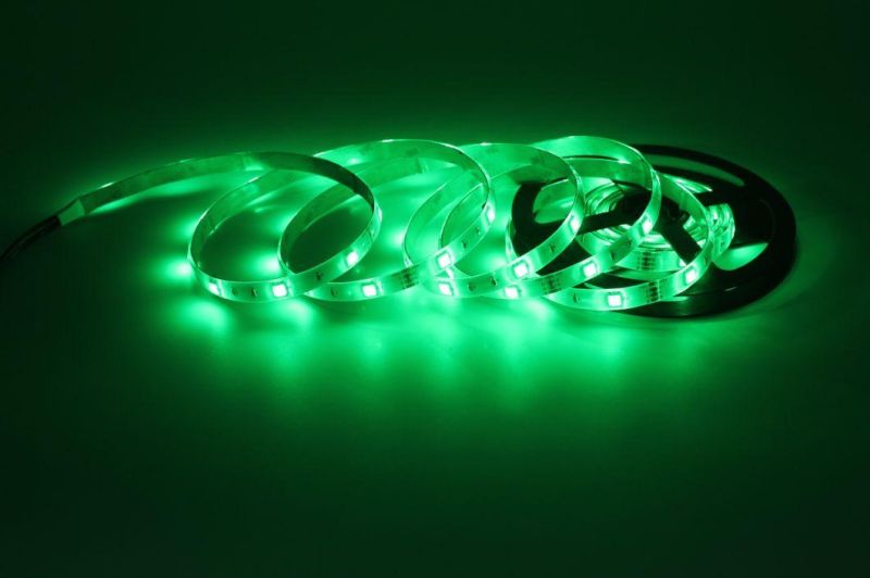 Holiday Lighting Decorating 12V/24V SMD 5050 RGB Flexible LED Strip Light
