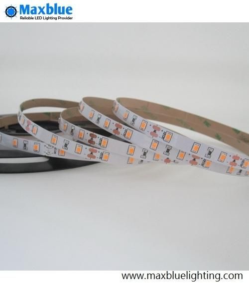 Manufacturer SMD2835 60LED/M 12W Flexible LED Strip