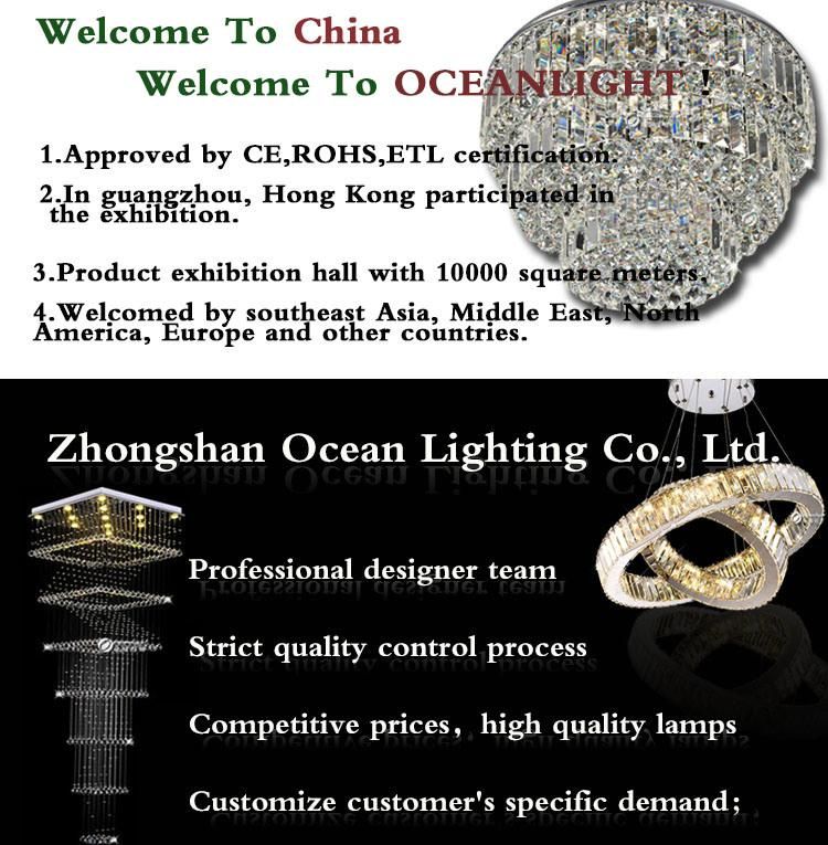 Wholesale Christmas Lighting, LED Christmas Decorations Lamp (OM060)