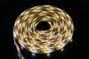 High Brightness Double CCT DC12V 3m SMD5025 Ww and Cw 30/60/120LEDs Flexible LED Strip/Tape Ce ETL UL