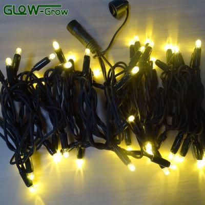 Supplier Rubber Christmas Wire Warm White LED String Light with Flash Bulb 4+1 for Hall Decoration