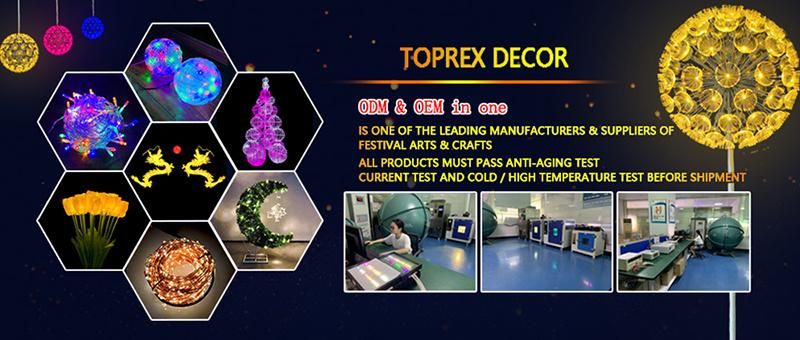 Toprex Outdoor Garden Christmas Decor Hanging Color Sedex 17mm LED PE Ball String Lights