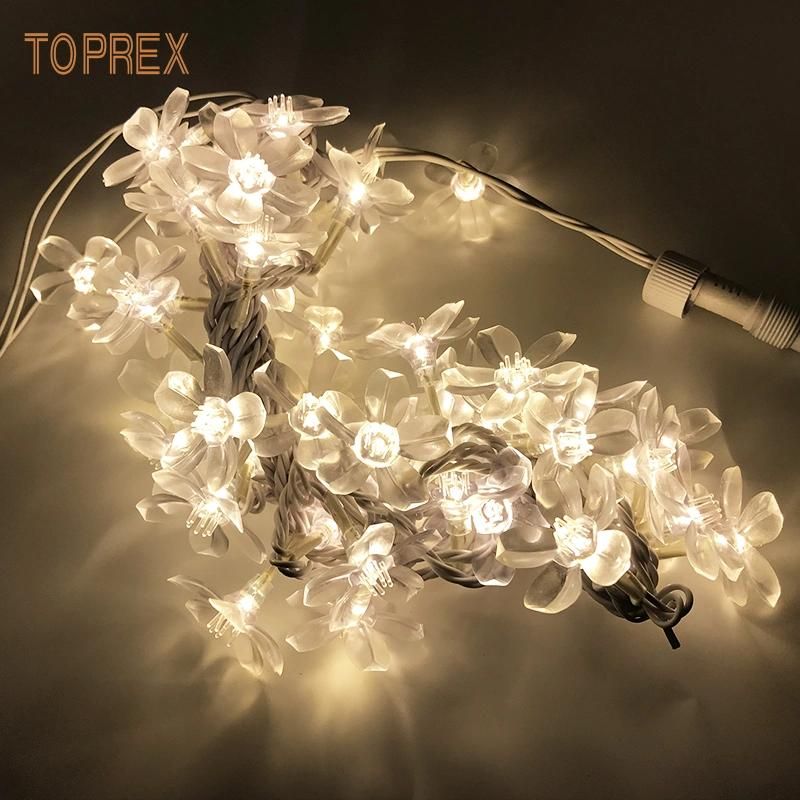 Toprex Hot Cherry Flower LED String Lights