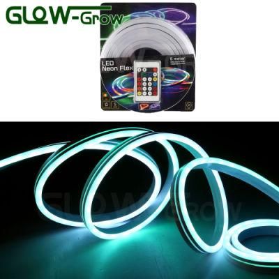 RoHS Approval Christmas Use 5050 48LEDs/M LED RGB Neon Rope Light