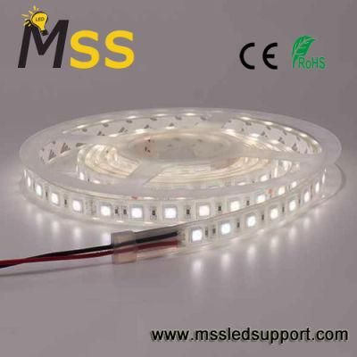 Super Bright 12V 24V LED Strip SMD5050 LED Strip 24V