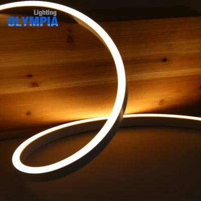 Perfect Light Pool Digital LED Neon Flex Strip