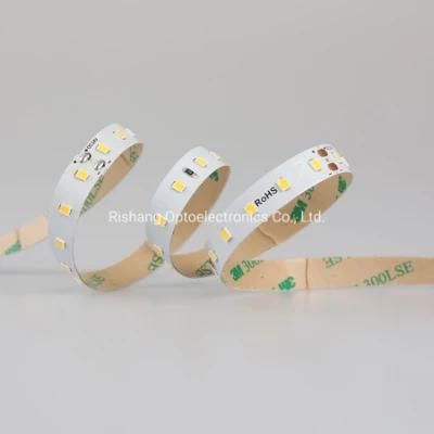 24V 9.6W One-Bin Only High Luminous Efficiency up to 210lm/W SMD2835 LED Strip with CE RoHS ERP Standard