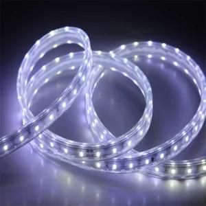 New Promotion High Quality Hot Sale LED Tape Strip Light Manufacturer in China