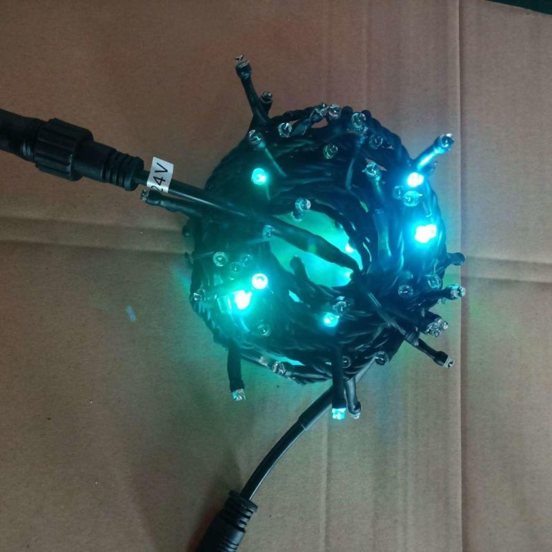 Holiday Light Christmas Decoration Christmas Light LED String Lights Balck Cable