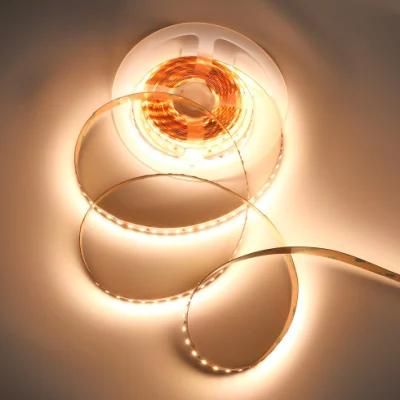 Waterproof LED Strip Light 12V