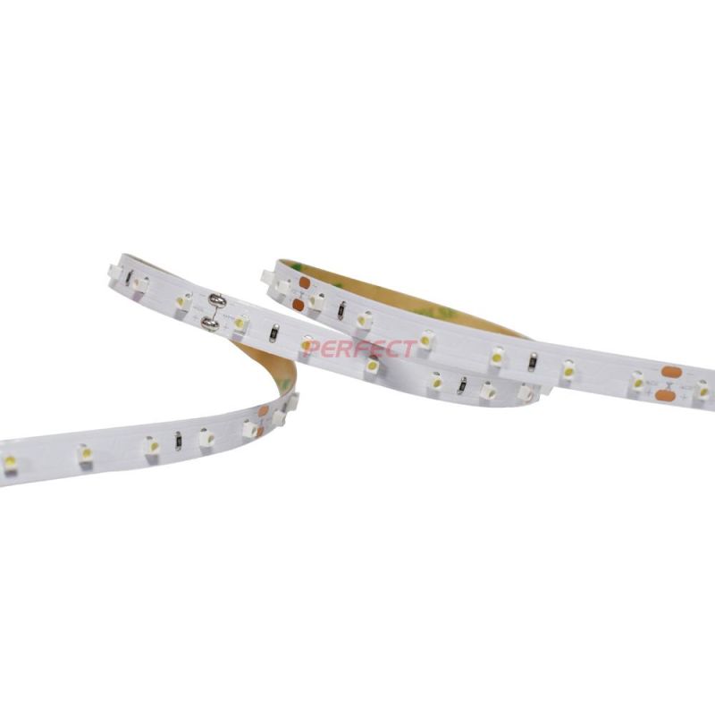 Best Price 2835 60 Beam Angle LED Light Strip DC12V/DC24V 60LED Flexible Wall Wash LED Strip