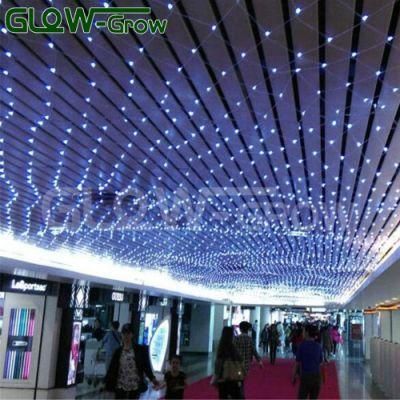 220V ETL Listed Landscape Lighting Twinkle Fairy Net Light Christmas LED Net Light for New Year