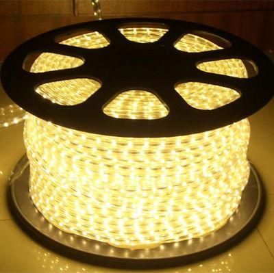 Christmas Mall Decorative LED Tape Outdoor Rope Lighting LED Strip Light