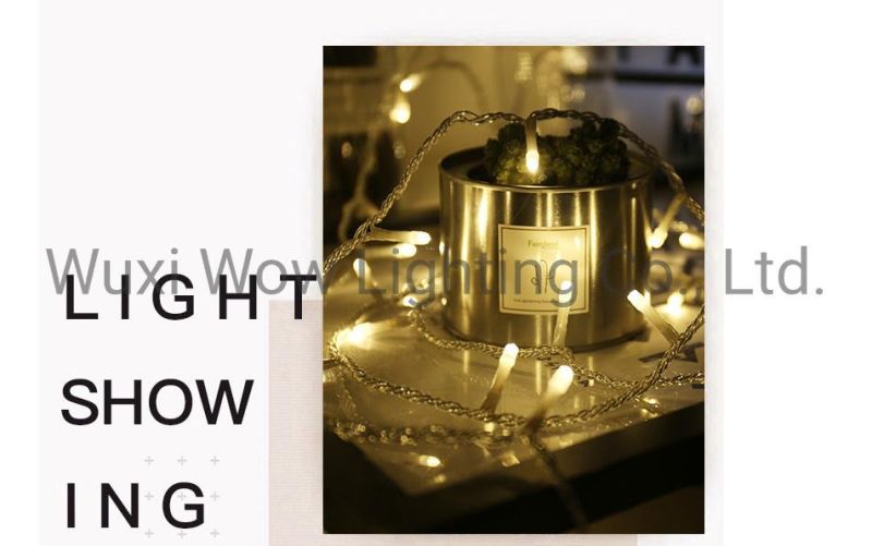 LED Lights, Holiday Decoration Lights, Outdoor Waterproof Lights for Christmas Wedding Christmas Light
