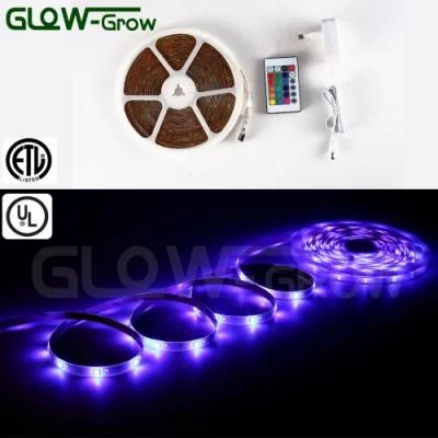 Manufacturer RGBW 12V/24V LED Strip Light with UL Plug for Christmas Xmas House Decoration