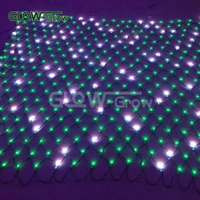 Blinking Holiday LED Flash Net Light for Holiday Outdoor Use IP65