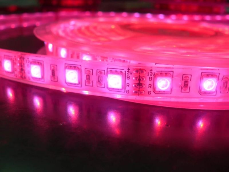High Brightness Neon Light DC12V IP68 Waterproof SMD 50502 RGB LED Strip