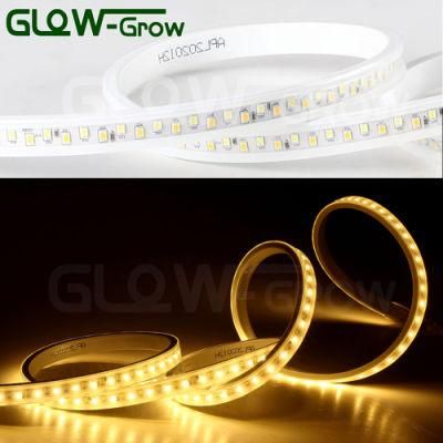 230V 100m IP65 2835 144LEDs/M Dual Color Strip Light with Two Chips LED