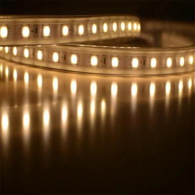 Super Bright 50m/Roll Packing AC120V 240V 3528 5050 Flexible LED Strip Tape