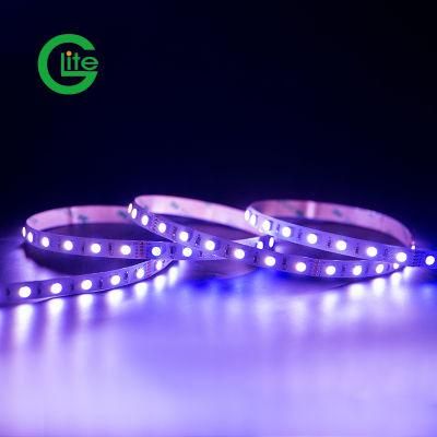 3years Warranty LED Light Strip SMD5050 RGBW 60LED DC24 Single Color Strip for Lighting Decoration