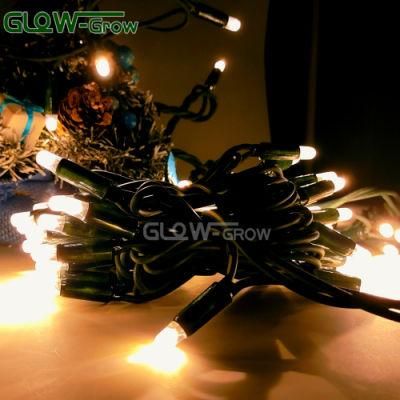 IP65 100 Warm White CE RoHS Rubber LED Fairy String Light with Green Cable