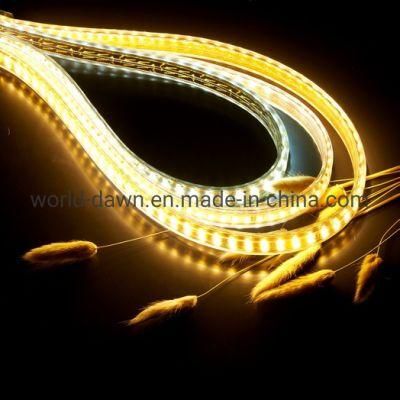 High Lumen Color Decoration Lighting Outdoor Waterproof LED Strip Rope Light for Christmas Party