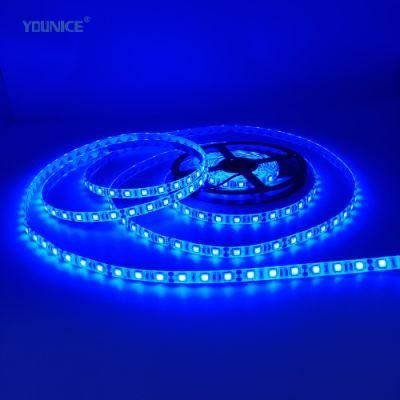 Blue Color SMD5050 LED Flexible Strip for Decoration