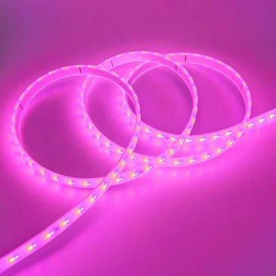 Hot Selling Outdoor Decoration 5m 10m Flexible Lamp SMD5050 IP65 Waterproof 12V Flex RGB LED Strip Light