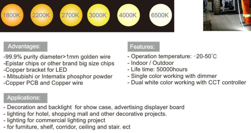 S-Shape Flexible 360 Degree Bendable LED Light Strip Specially Used for Modeling