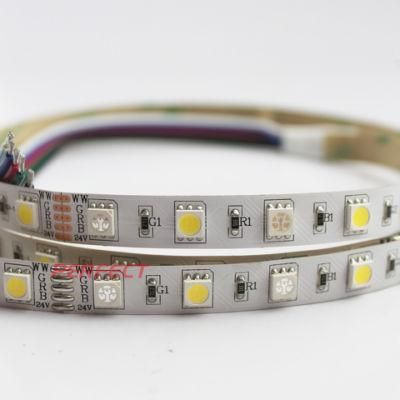 CE&RoHS Certificated LED Strip RGB+CCT LED Flexible Strip Light 12V/24V LED Linear Lighting